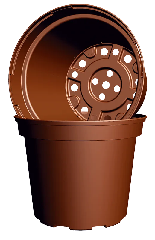 Terracotta