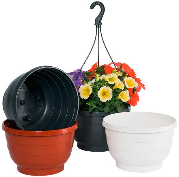 Komet hanging basket