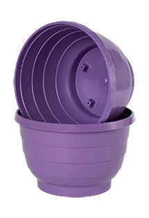 Blue-lilac