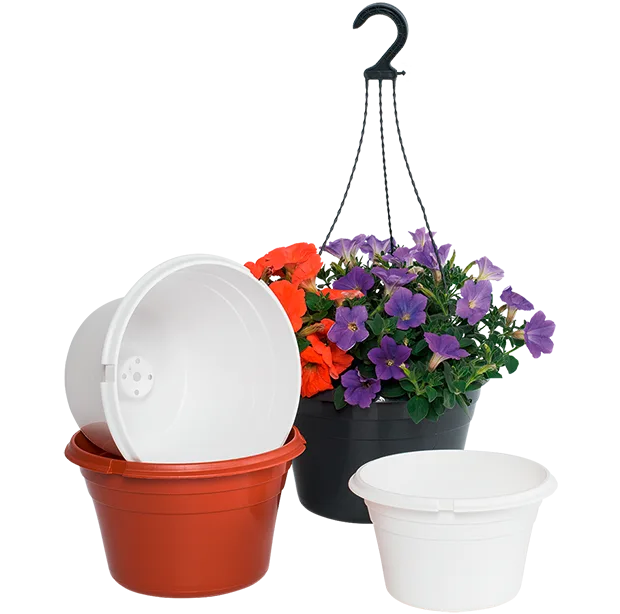 Merkur hanging basket