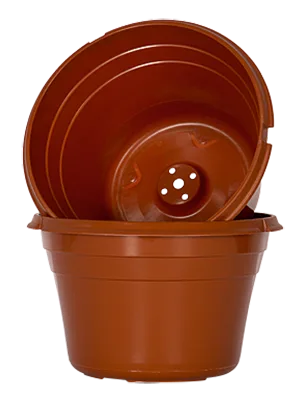 Terracotta