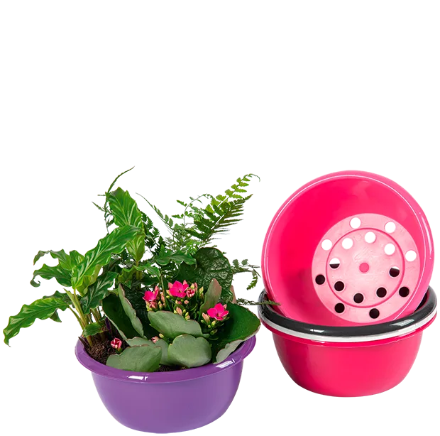Brillant Bowl