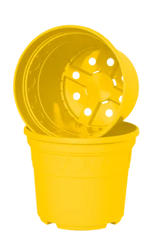 Sonnengelb