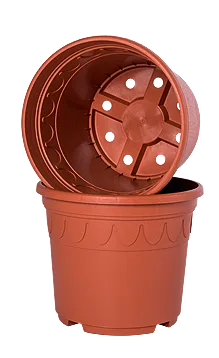 Terracotta