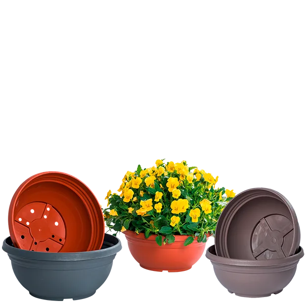 Orion Bowl