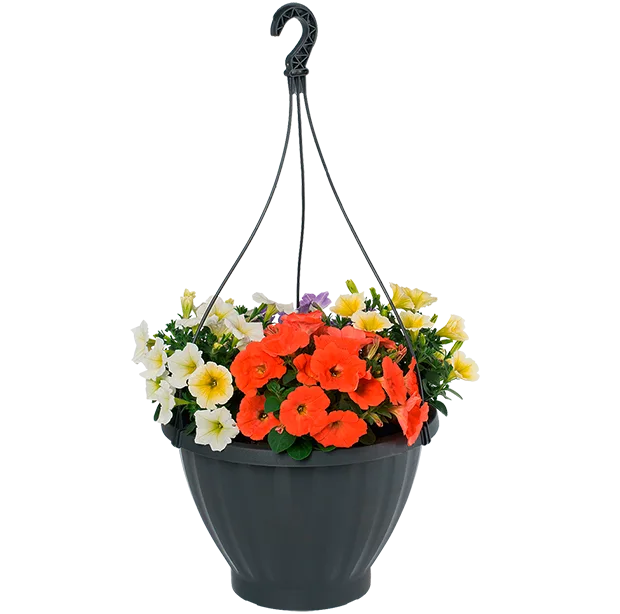 Royal Top self-watering hanging basket