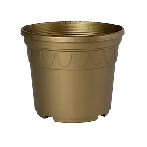 Sonderfarbe gold Genua